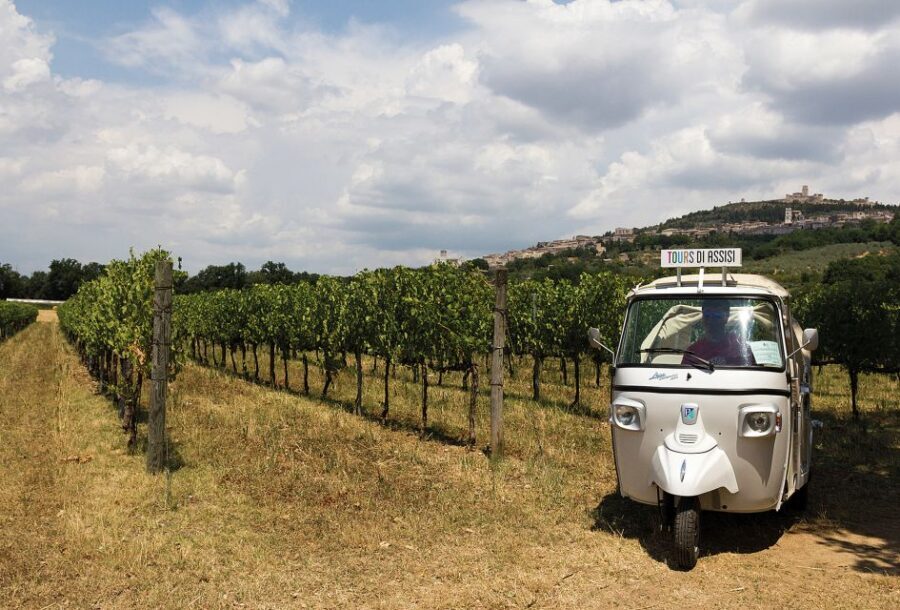 Assisi: Panoramic Tuk Tuk Tour - Piazza del Comune and Minerva: The Civic Heart Behind the Faith