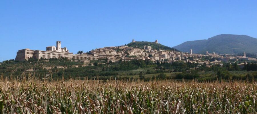 Assisi: Walking Tour with St. Francis Basilica Visit - Starting at Matteotti: Where Your Assisi Day Gets Its Rhythm