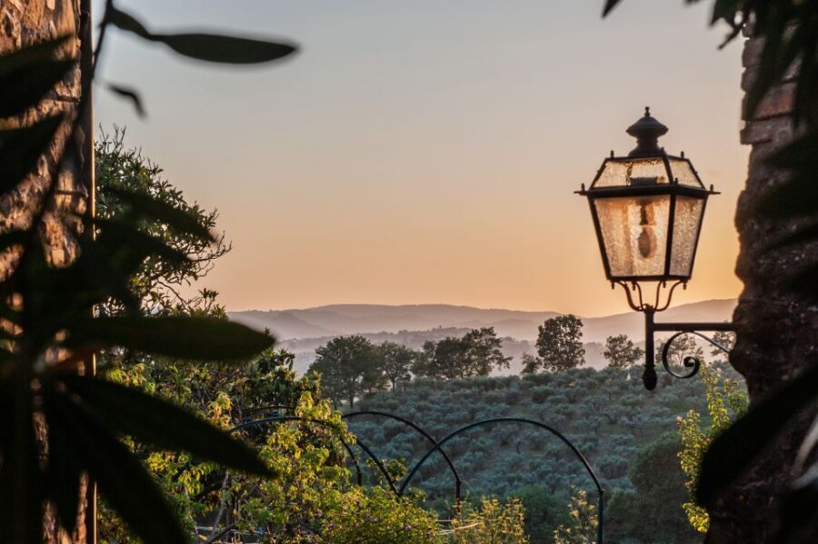 Assisi: Walking Tour with St. Francis Basilica Visit - Who Should Book This Walking Tour