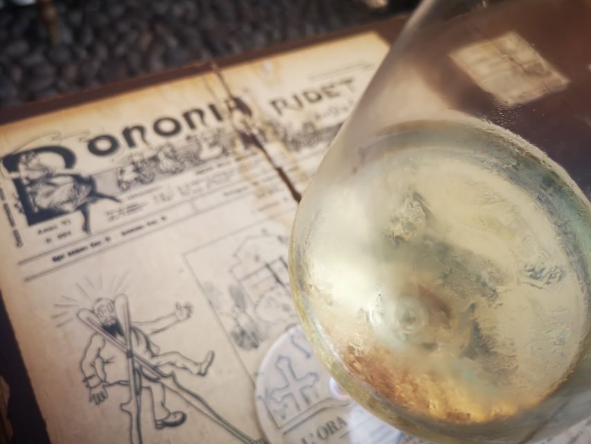 Bologna: City Center Guided Wine Walking Tour - Meeting near Neptune: getting started with zero stress