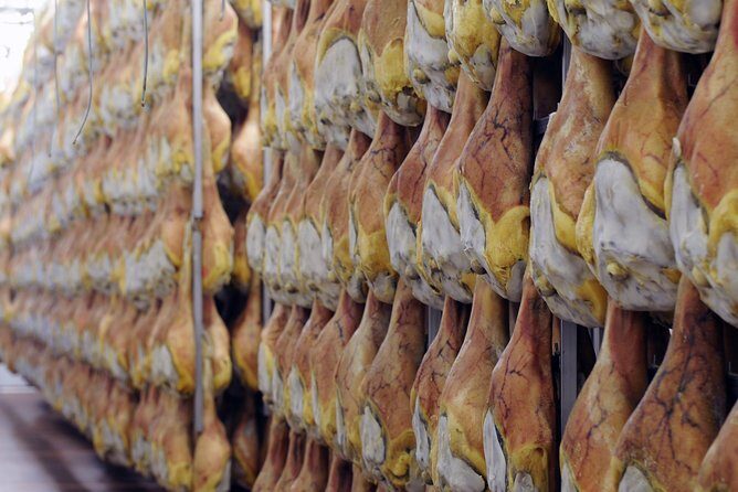 Bologna Food Experience: Factory tours & Family-Style Lunch - Castelvetro di Modena: Traditional Balsamic and the Barrel Room