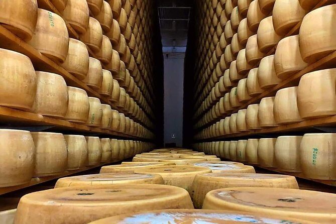 Bologna Food Experience: Factory tours & Family-Style Lunch - Value: Why the Price Works for Food Lovers (and May Not for Everyone)