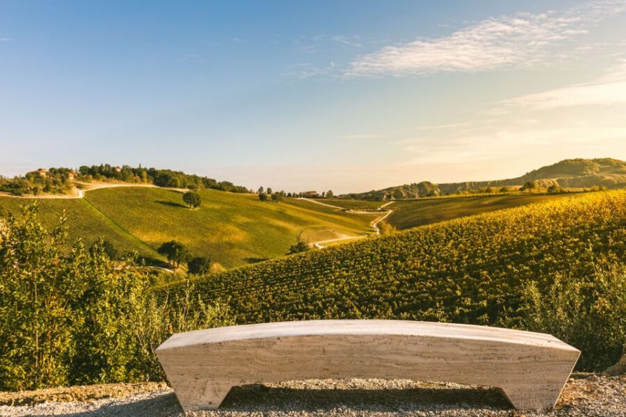 Bologna: Olive Grove and Vineyard Tour with Product Tastings - Key highlights worth your time