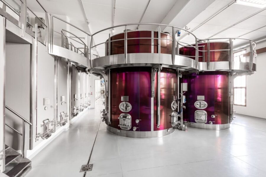 Bologna: Olive Grove and Vineyard Tour with Product Tastings - What you’ll taste: wine, extra virgin olive oil, and local produce