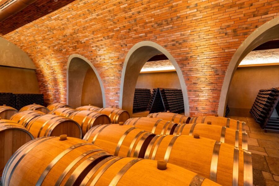Bologna: Olive Grove and Vineyard Tour with Product Tastings - Pacing and timing: 1 to 1.5 hours is tight, so choose your priorities