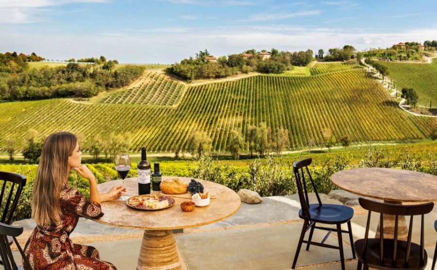 Bologna: Olive Grove and Vineyard Tour with Product Tastings - Price and value: about $20 for wine, oil, and education