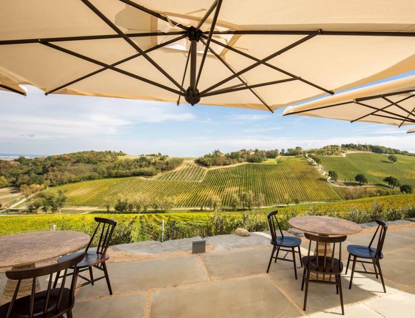 Bologna: Olive Grove and Vineyard Tour with Product Tastings - Who should book this Bologna olive grove and vineyard tour?