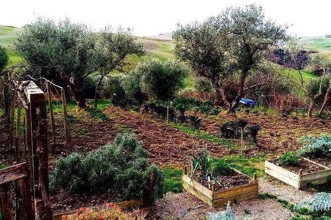 Brunello Wine Tour and Val D'Orcia Landscape - How Customization Changes Your Day (And Why That Matters)