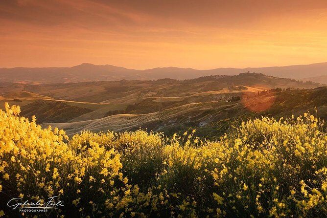 Brunello Wine Tour and Val D'Orcia Landscape - What About Lunch? Smart Ways to Handle Food Timing