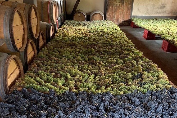 Chianti and San Gimignano - 2 Wineries with Pairing Lunch - Getting Picked Up: The Real Value of Not Driving