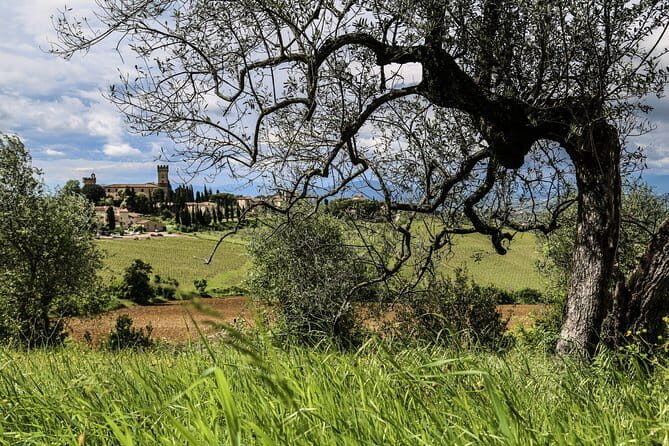 Chianti Delights: A Tale Of Two Wineries With A Vineyard Dinner - The Second Estate on the Chiantigiana Road: Dinner With the Vineyards