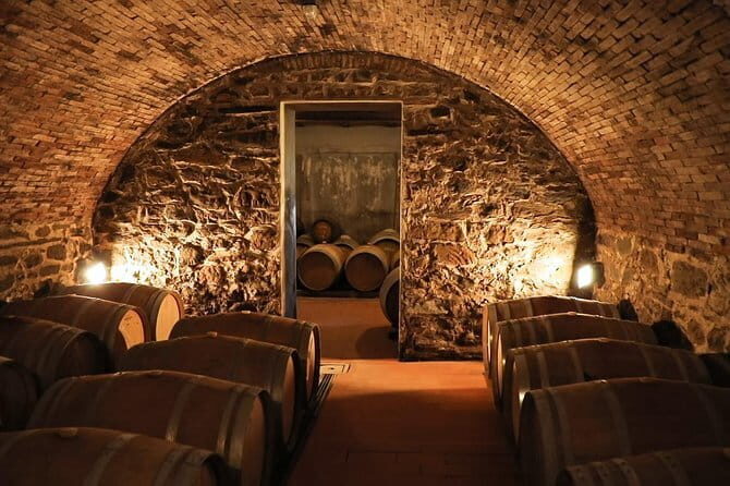 Chianti Wine Tour from Florence - Key things I’d bank on before you go