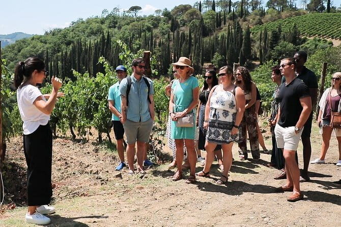 Chianti Wine Tour from Florence - Via Chiantigiana Coach Ride: The Views Part Is Guaranteed