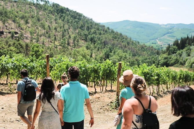 Chianti Wine Tour from Florence - Stop 1: A Cozy Organic Winery and Owner-Led Wine Secrets