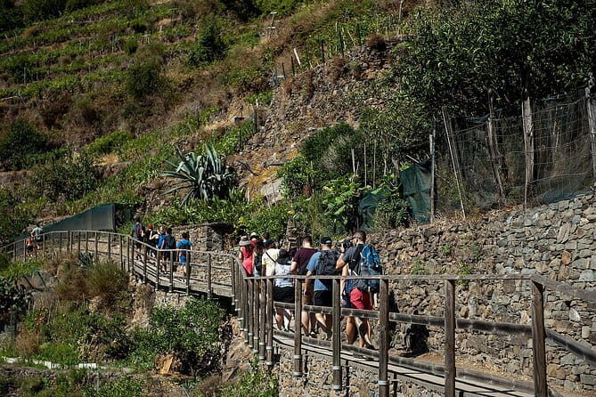 Cinque Terre Day Trip with Optional Hiking or Pisa - From Florence at 7:20 to the Coast: Why This Starts So Early