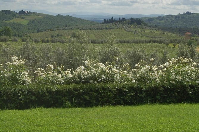 Discover Chianti Through its Wines - Key highlights to clock before you go