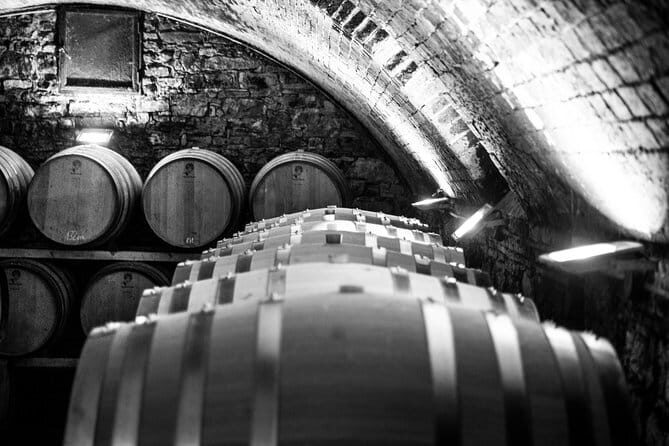 Discover Chianti Through its Wines - Casa Sola’s setting makes the wine lesson land