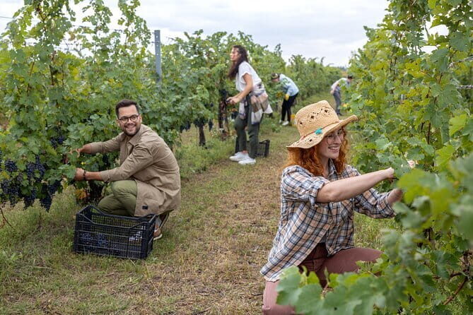 Discover Chianti Through its Wines - Food pairing that teaches you how to taste, not just what to eat