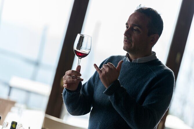 Discover Sustainable Wines in a Guided Tour and Tasting - First impressions at Pomaio outside Arezzo