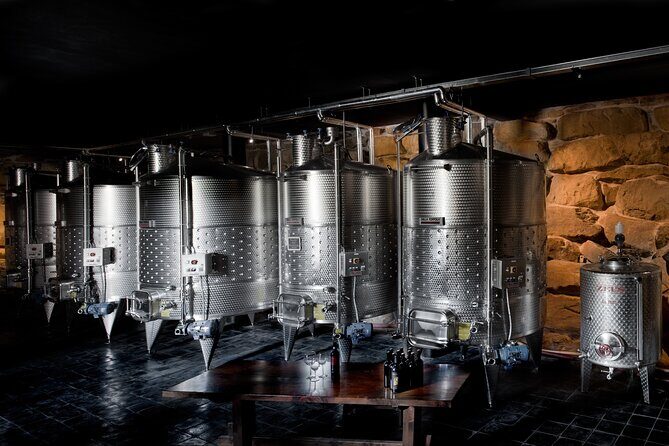 Discover Sustainable Wines in a Guided Tour and Tasting - Vineyard walk: you’ll see organic farming, not just hear about it