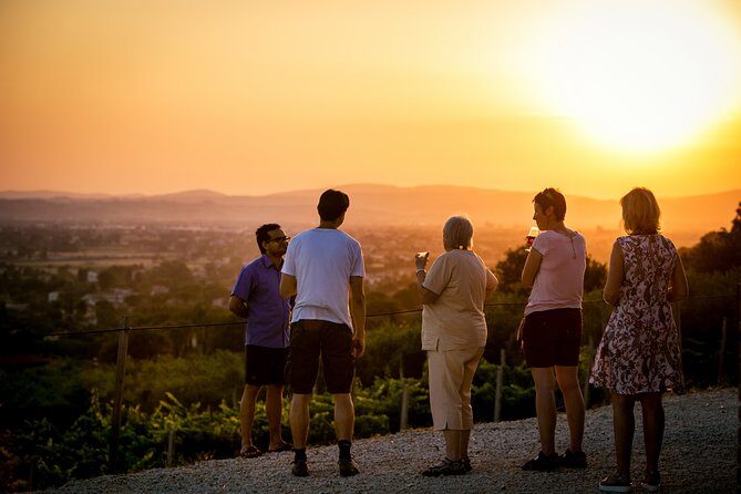 Enjoy and Taste the Flavors of Wine in an Open-air Venue - Where This Tasting Fits: Assisi’s Organic Country Side, Not a Crowded Room