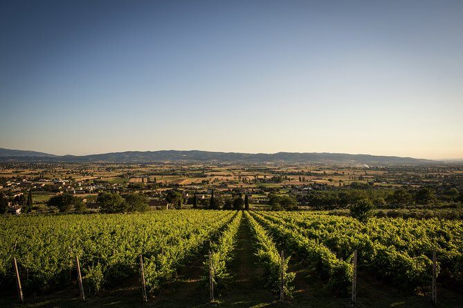 Enjoy and Taste the Flavors of Wine in an Open-air Venue - Outdoor vs Inside: What to Expect When Weather Changes the Plan