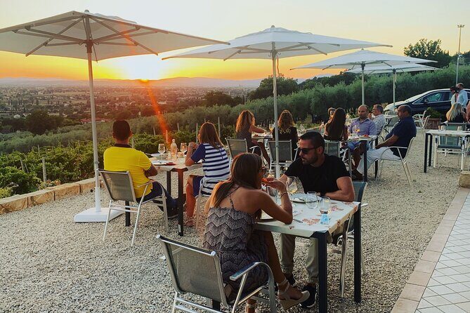 Enjoy and Taste the Flavors of Wine in an Open-air Venue - Logistics That Actually Matter: Time, Language, Tickets, and Small-Group Comfort