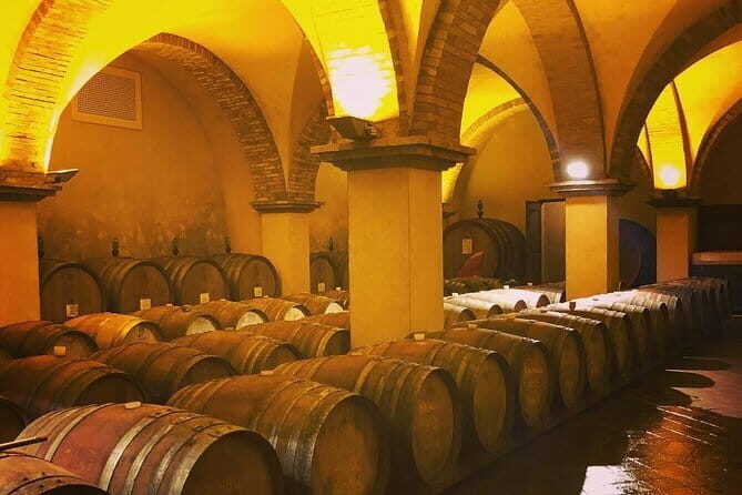 Exclusive Private Tuscany Wine Tour & Food Pairing Session - Key highlights you’ll actually feel on the day