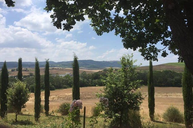 Exclusive Private Tuscany Wine Tour & Food Pairing Session - How this Tuscany wine tour avoids the usual tourist-winery trap