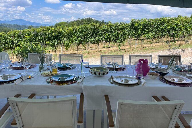Farm To table Experience on an organic hilltop estate in Tuscany - Lunch paired with wine, plus included spirits and limoncello