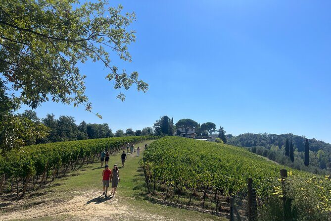Farm To table Experience on an organic hilltop estate in Tuscany - Hands-on Tuscan cooking: not just watching, actually doing
