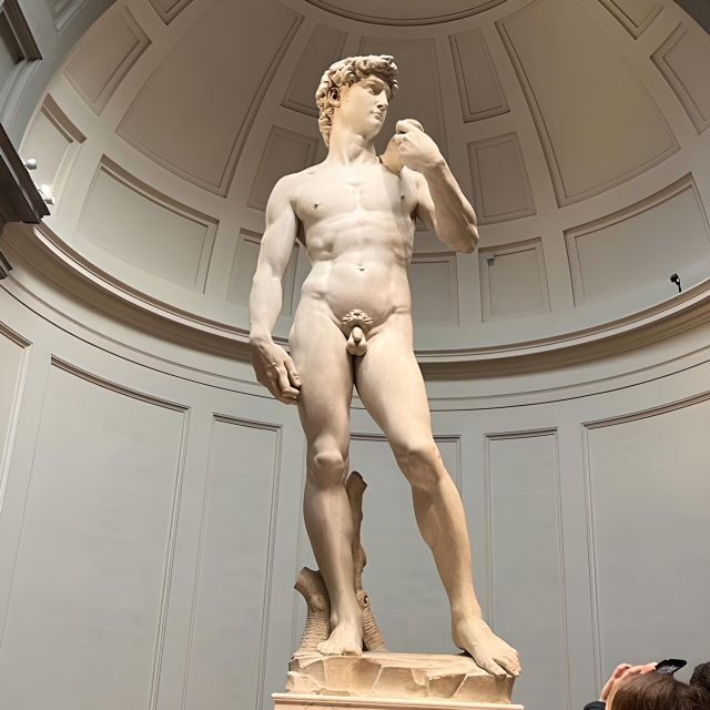 Florence: Accademia Reserved Ticket & Michelangelo's David - Reserved Entry Into Accademia: Why the Ticket Is the Point