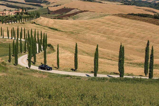 Florence Airport Private Departure Transfer - Pickup in Central Florence: Meet and Assist Where It Counts