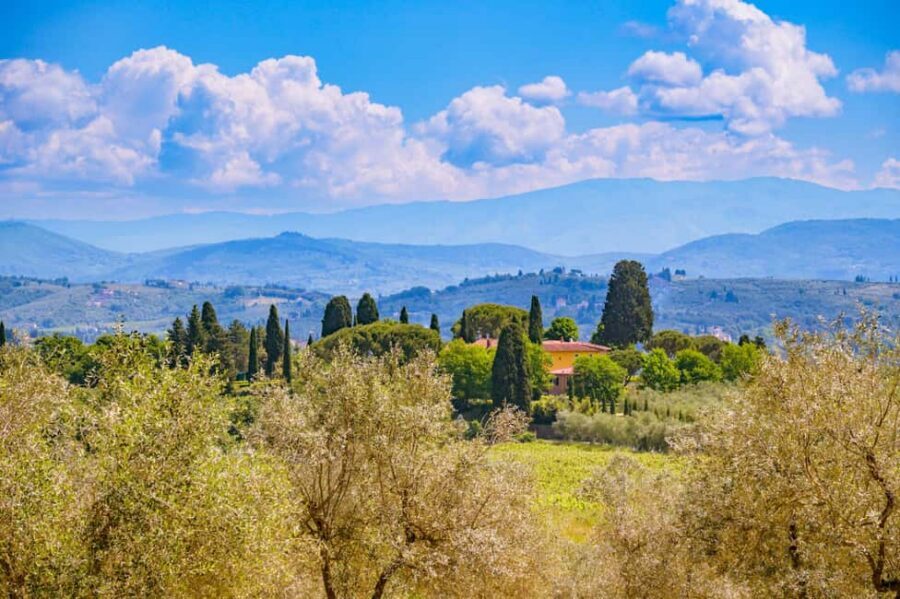 Florence: Chianti E-Bike Tour with Lunch & Two Wine Tastings - Key Highlights You’ll Actually Care About