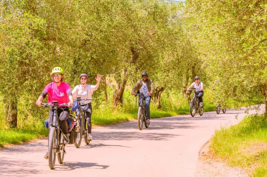 Florence: Chianti E-Bike Tour with Lunch & Two Wine Tastings - How Hard Is It, Really? E-Bikes Help, But You Still Need Bike Confidence