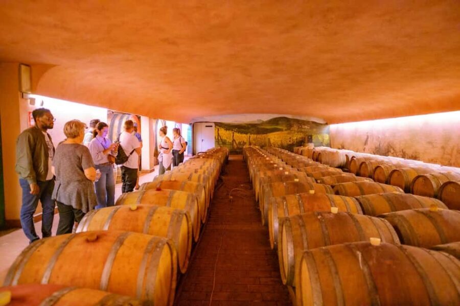 Florence: Chianti E-Bike Tour with Lunch & Two Wine Tastings - What You’re Paying $116 For: Value That’s More Than Just Wine