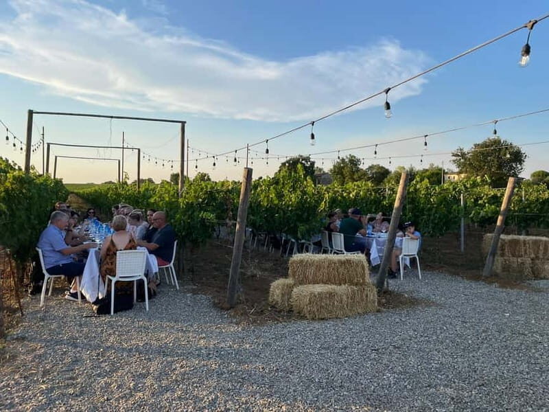 Florence: Chianti Vineyards Tour with Wine Tasting & Dinner - Who this tour suits best