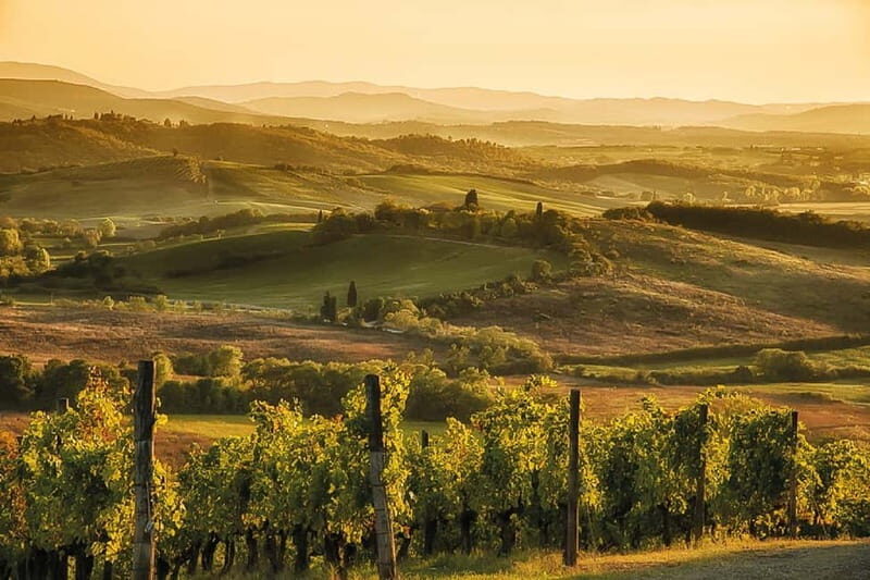Florence: Chianti Vineyards Tour with Wine Tasting & Dinner - The route experience: what the drive adds (and what it doesn’t)