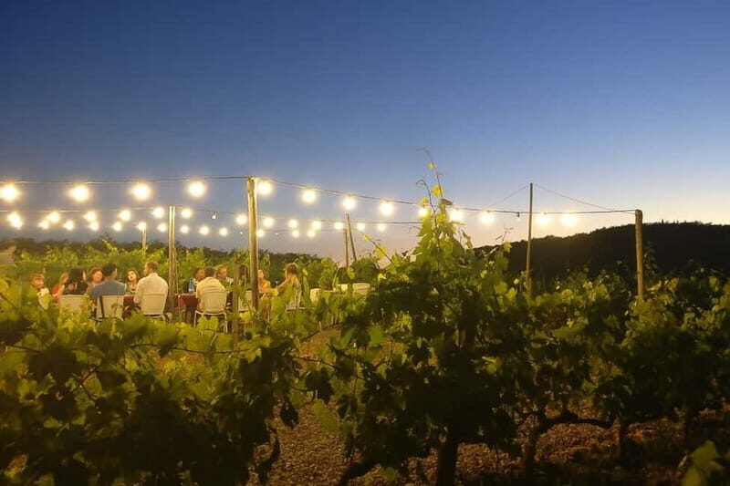 Florence: Chianti Vineyards Tour with Wine Tasting & Dinner - Price and value: is $123.48 per person fair?