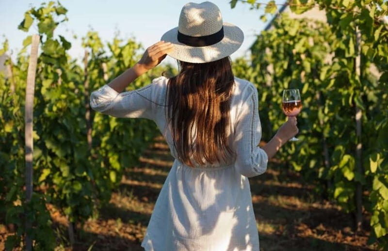 Florence: Chianti Vineyards Tour with Wine Tasting & Dinner - The winery tasting: expect more than a sample pour