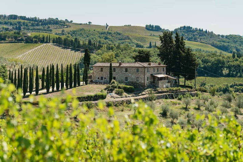 Florence: Chianti Wineries Tour with Wine Tasting - Cantina Stop One: barrels, Chianti Classico, and your first tasting