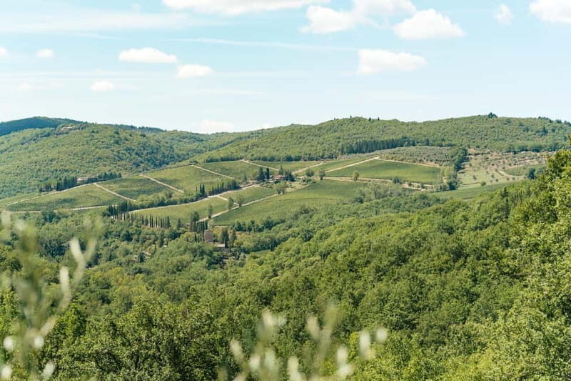 Florence: Chianti Wineries Tour with Wine Tasting - FAQ