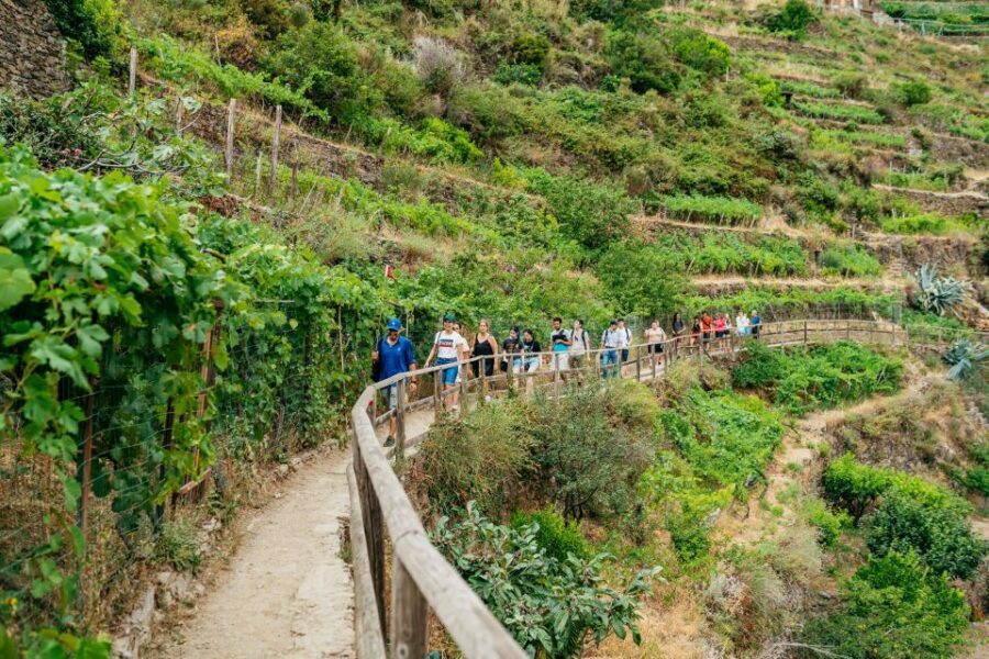 Florence: Cinque Terre Day Trip with Optional Hike - Manarola: the cliff houses, the vine walk, and room to wander