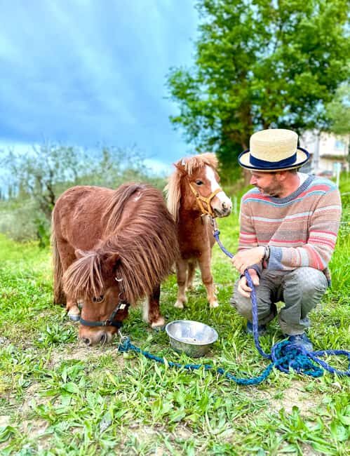 Florence: Countryside Tour with Wine Tasting & Pasta Class - From Piazza del Tiratoio to a Tuscan farm in under an hour