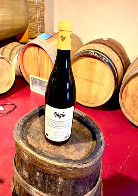 Florence: Countryside Tour with Wine Tasting & Pasta Class - Diets, alcohol, and who should skip this tour