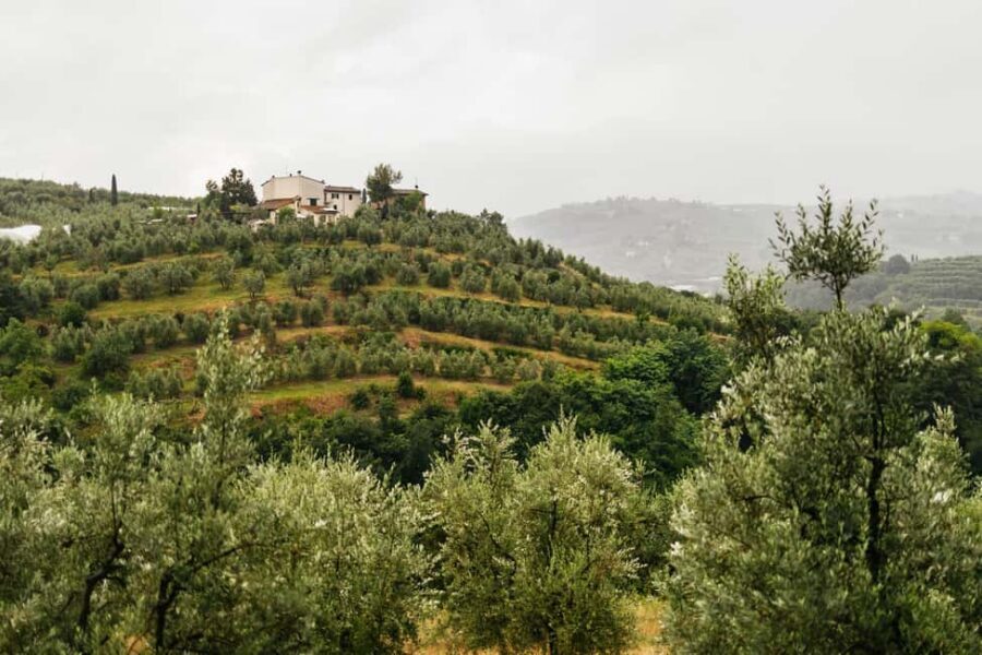 Florence: Countryside Vintage Fiat 500 Driving Tour - The Stick-Shift Briefing: Where the Tour Gets Real