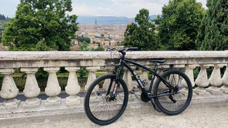 Florence: Guided Bike Tour with Piazzale Michelangelo - Santa Croce and Piazza della Signoria: art and civic power