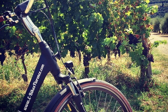 Florence Hills E-Bike Tour with Gelato Tasting - The Stop-by-Stop Route: Piazzale Michelangelo, San Miniato, Pian dei Giullari, Arcetri
