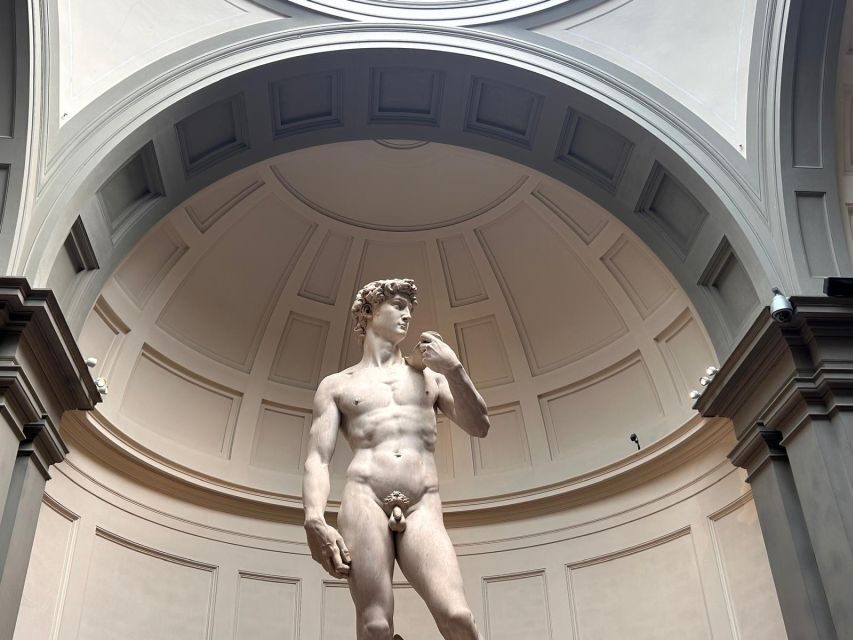 Florence: Michelangelo's David Entrance Ticket and Audio App - Timed Accademia Entry: Getting In Without the Ticket Office Bottleneck