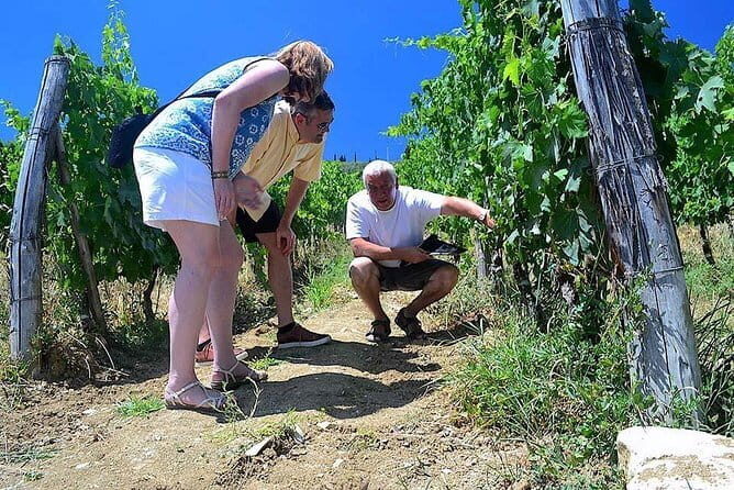 Florence Oltrarno Neighborhood Food & Wine Dine Around - Who should book this tour (and when it makes the most sense)